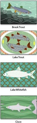 Picture of Note Cards - Truly Superior Fish - Set I
